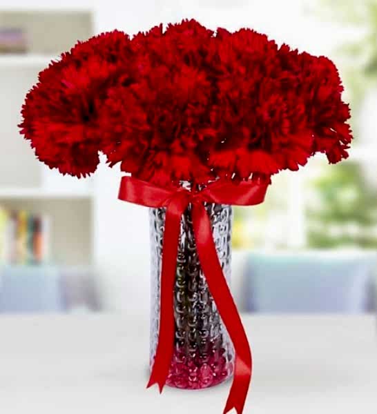 vazoda-kırmızı-karanfiller