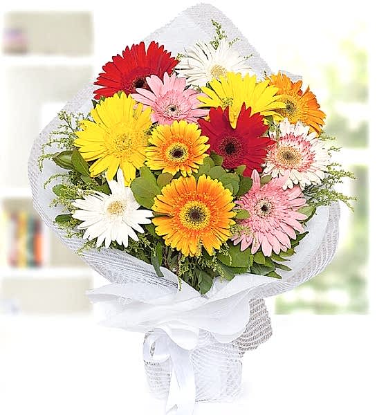 Renkli Gerbera Buketi