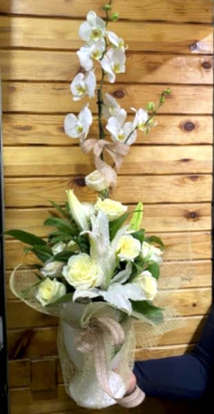 Orkideli aranjman