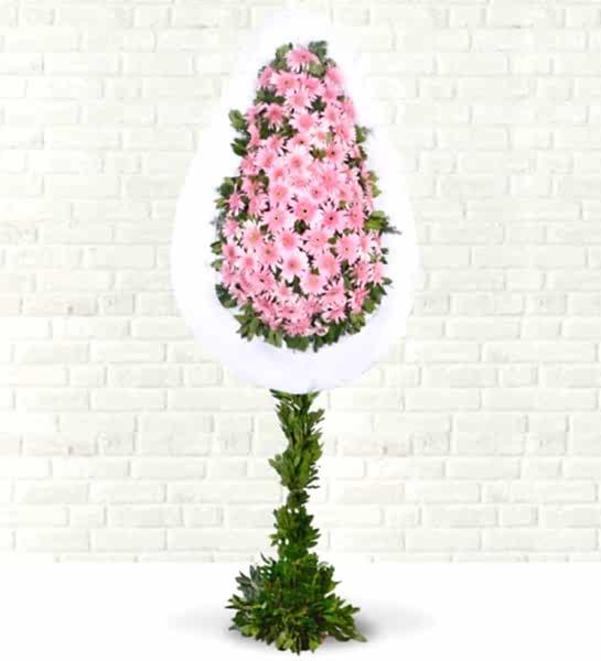 Pembe Gerbera Çelengi