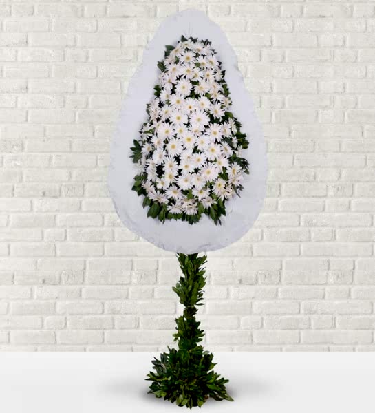 Beyaz Gerbera Sepeti