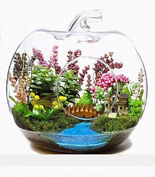 Büyüleyici Orman orta boy teraryum