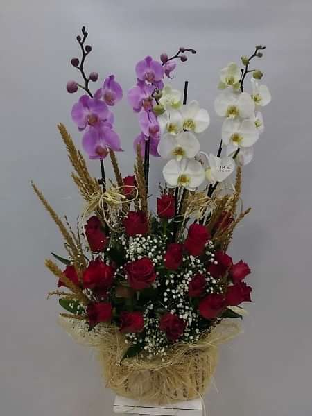 4dalli renkli orkide ve guller