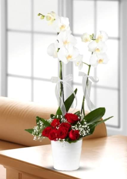 2li orkide guller seramikte