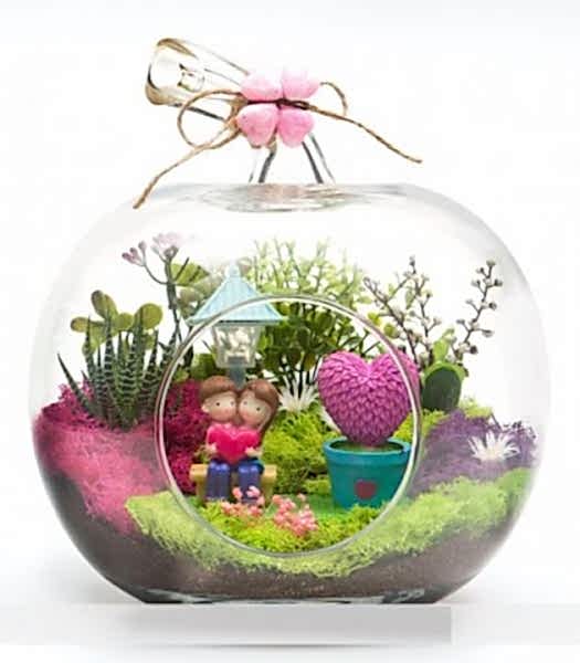 Görünen Mutluluk ufak teraryum