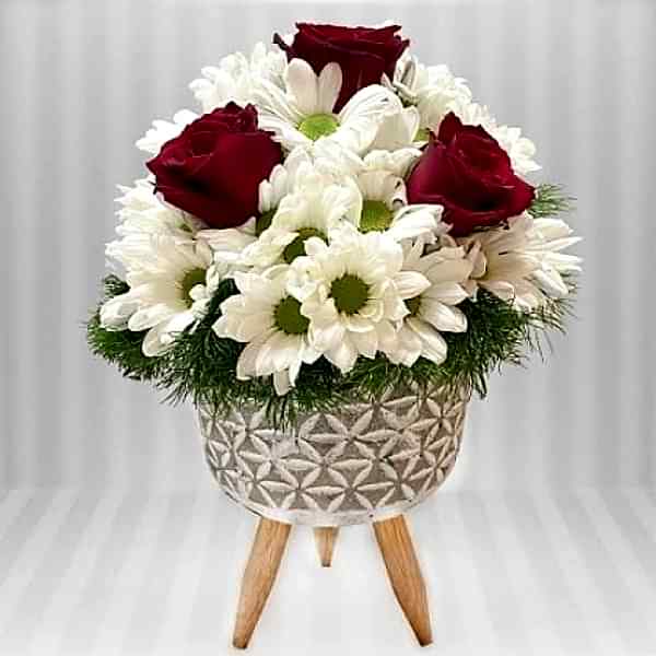 Ayaklı saksıda papatya gül aranjmanı