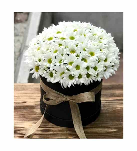 Kutuda beyaz papatyalar