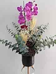 Elit orkide ayaklı saksıda