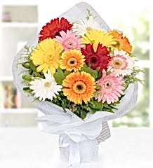 Renkli Gerbera Buketi