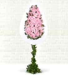 Pembe Gerbera Çelengi