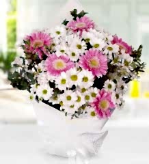 Papatya ve Gerbera Buketi