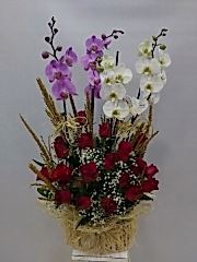 4dalli renkli orkide ve guller