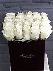 Kutuda beyaz guller ithal