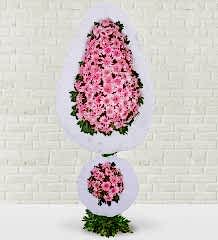 Pembe Düğün Çiçeği