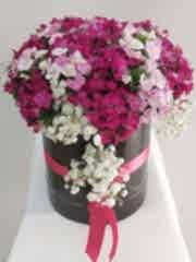 Kutuda Hüsnü Yusuf çiçekleri