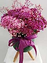 Ayaklı saksıda Hüsnü Yusuf çiçekleri