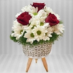 Ayaklı saksıda papatya gül aranjmanı